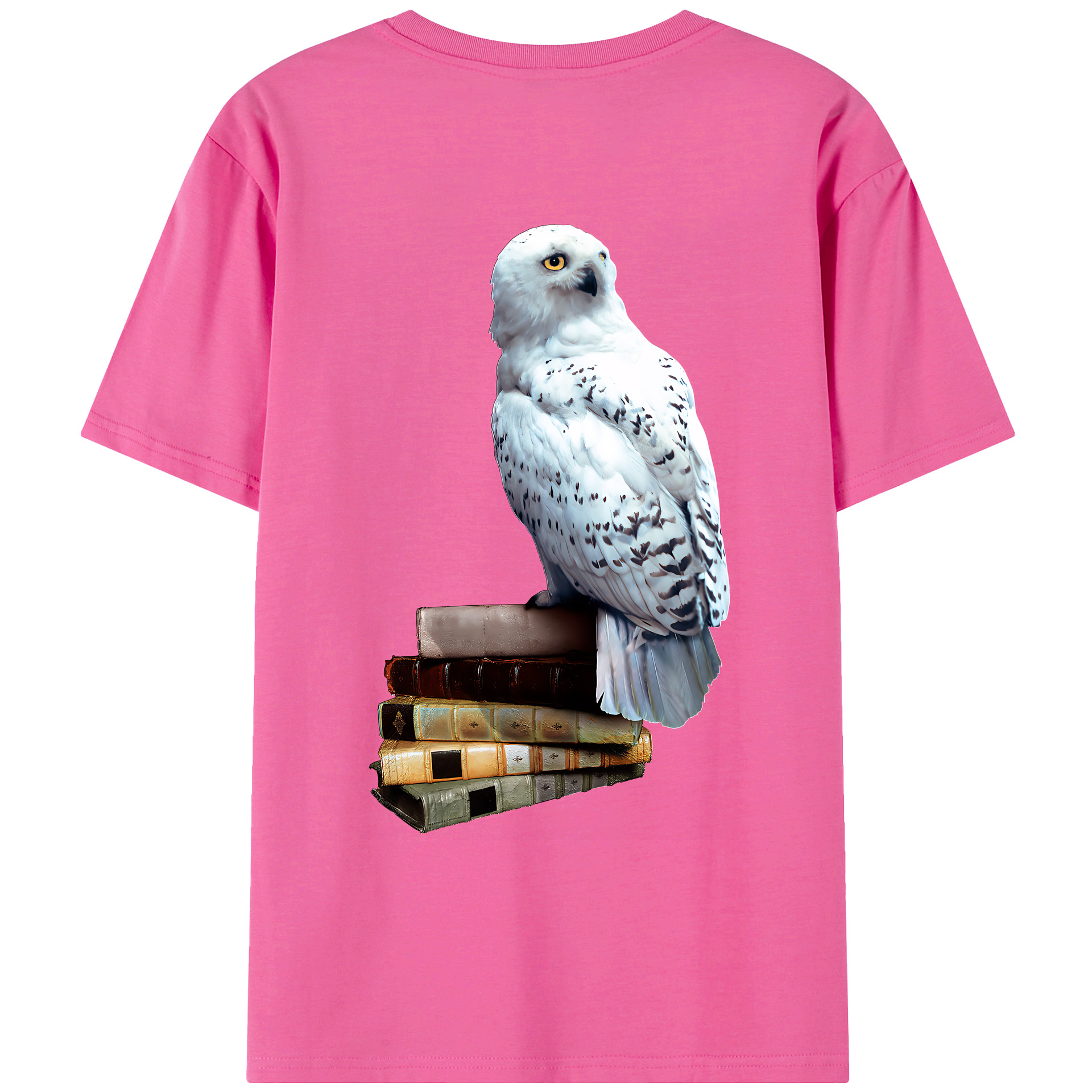（画像用） Harry Potter ハリー・ポッターシリーズ レディース半袖Tシャツ(バックプリント)